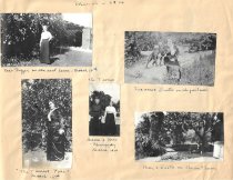 409 W Hillcrest yard